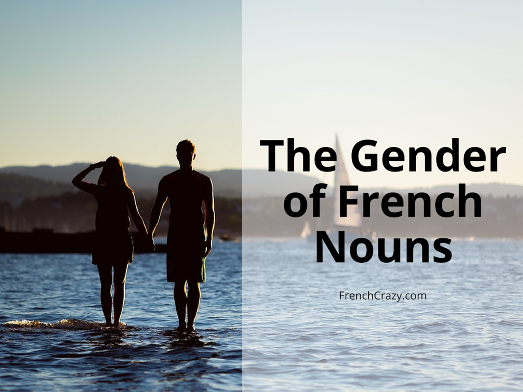 Know the Gender of French Nouns