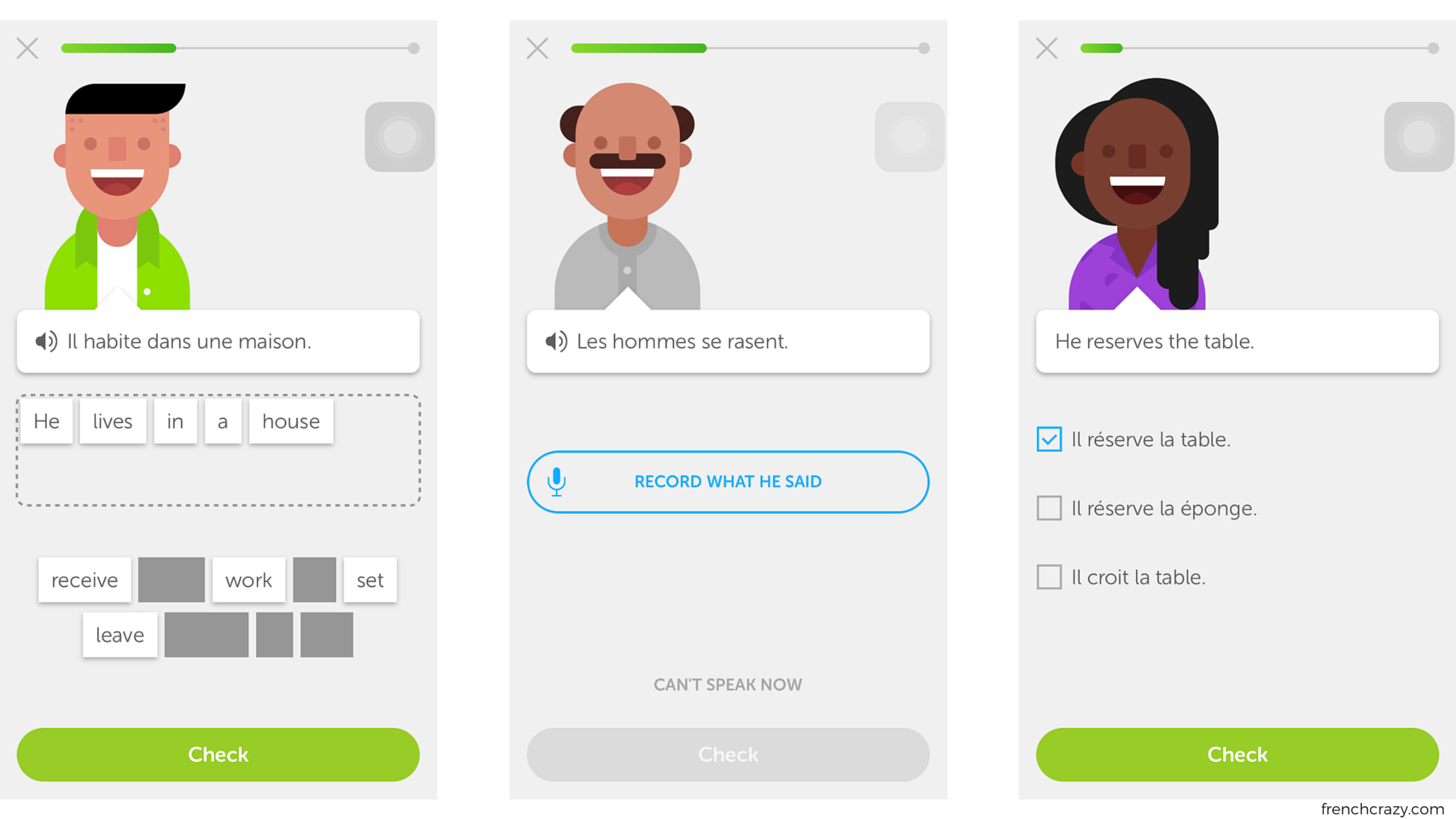 the-ultimate-duolingo-french-review-dana